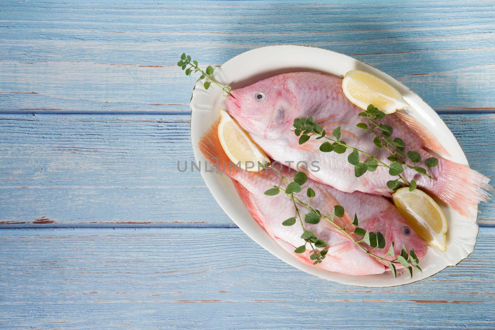 raw fresh pink tilapia fish lies on a platter surrounded by yellow lemons and on a blue wooden background. High quality photo