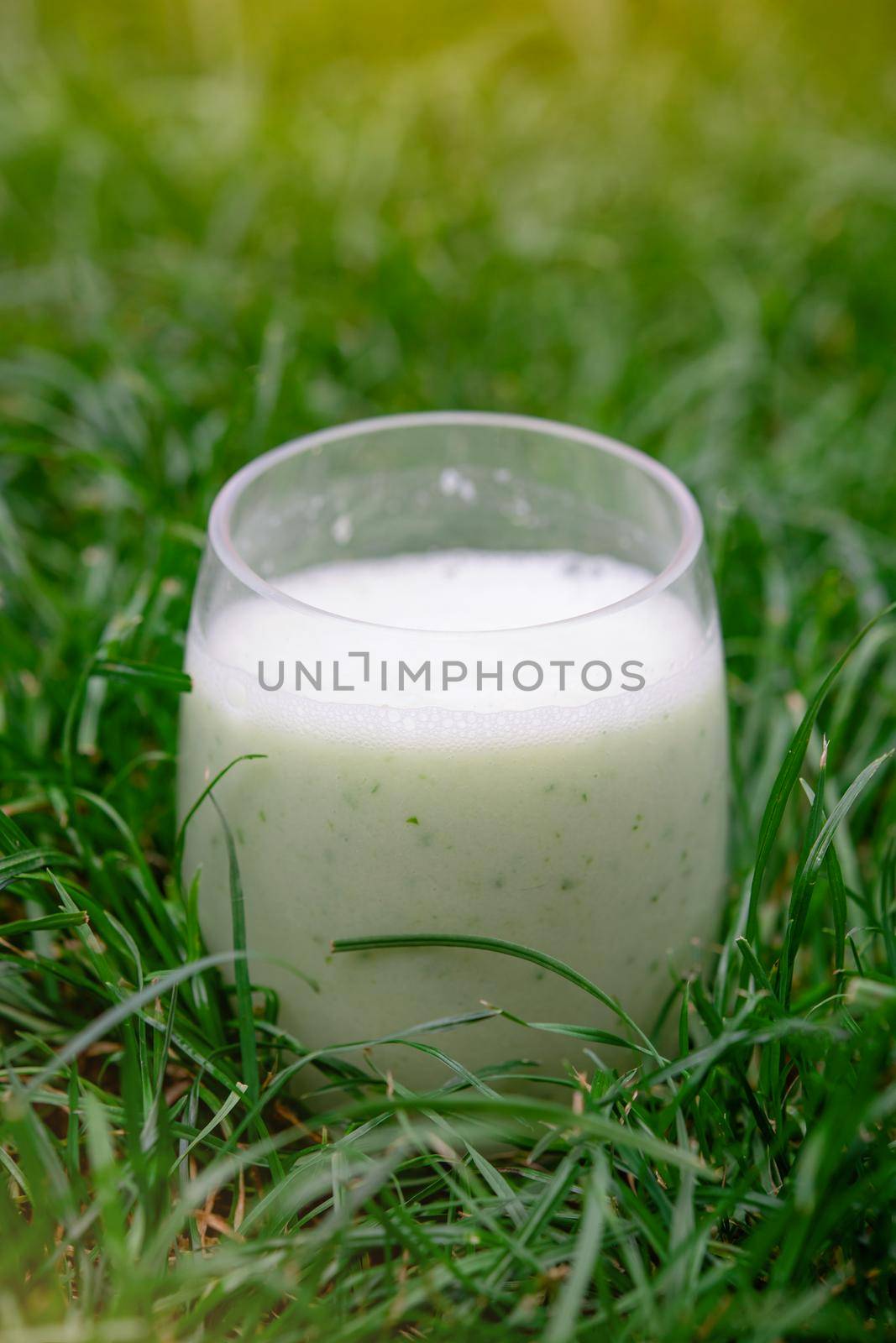 vegetarian green drink in a glass in the grass
