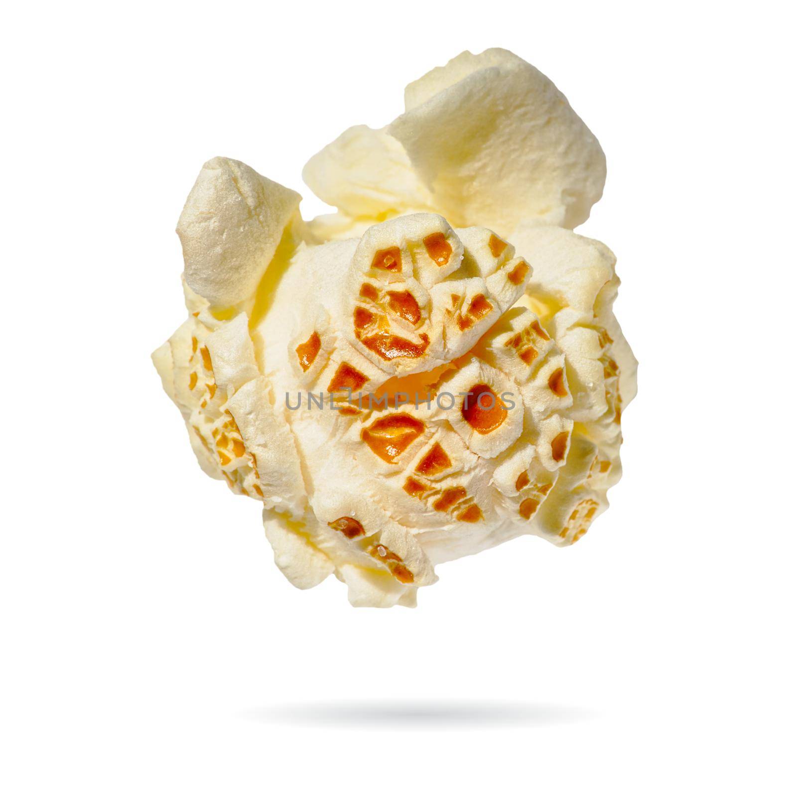 Macro popcorn isolated on white background. single popcorn