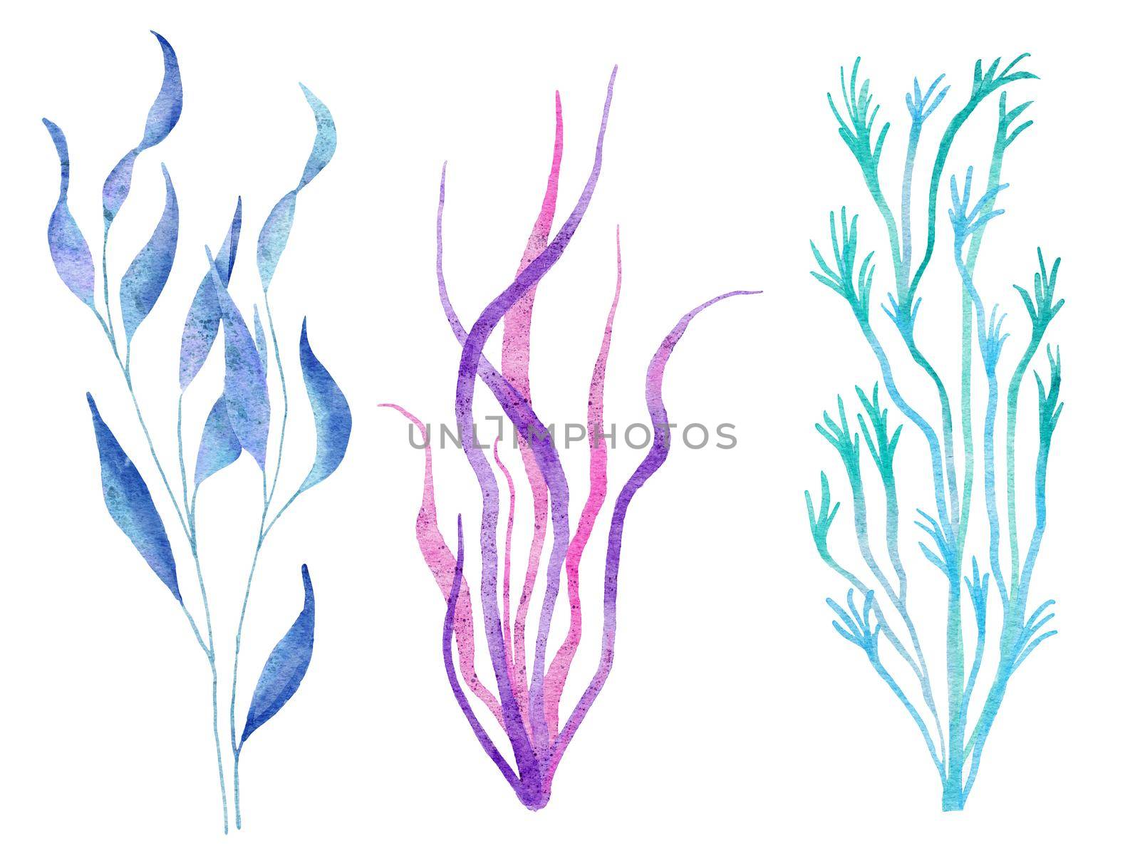 Watercolor illustration of seaweed plants in blue turquoise purple colors, ocean sea underwater wildlife animals. Nautical summer beach design, coral reef life nature, algae pink spirulina . by Lagmar