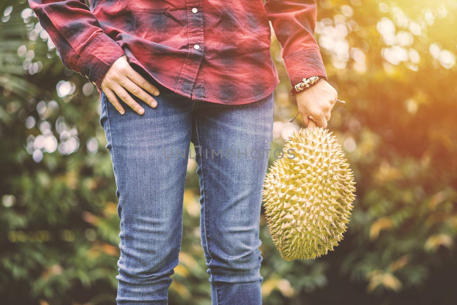A woman holding Mon Thong durian fruit in her hand. Regarded by many people in southeast asia as the king of fruits.