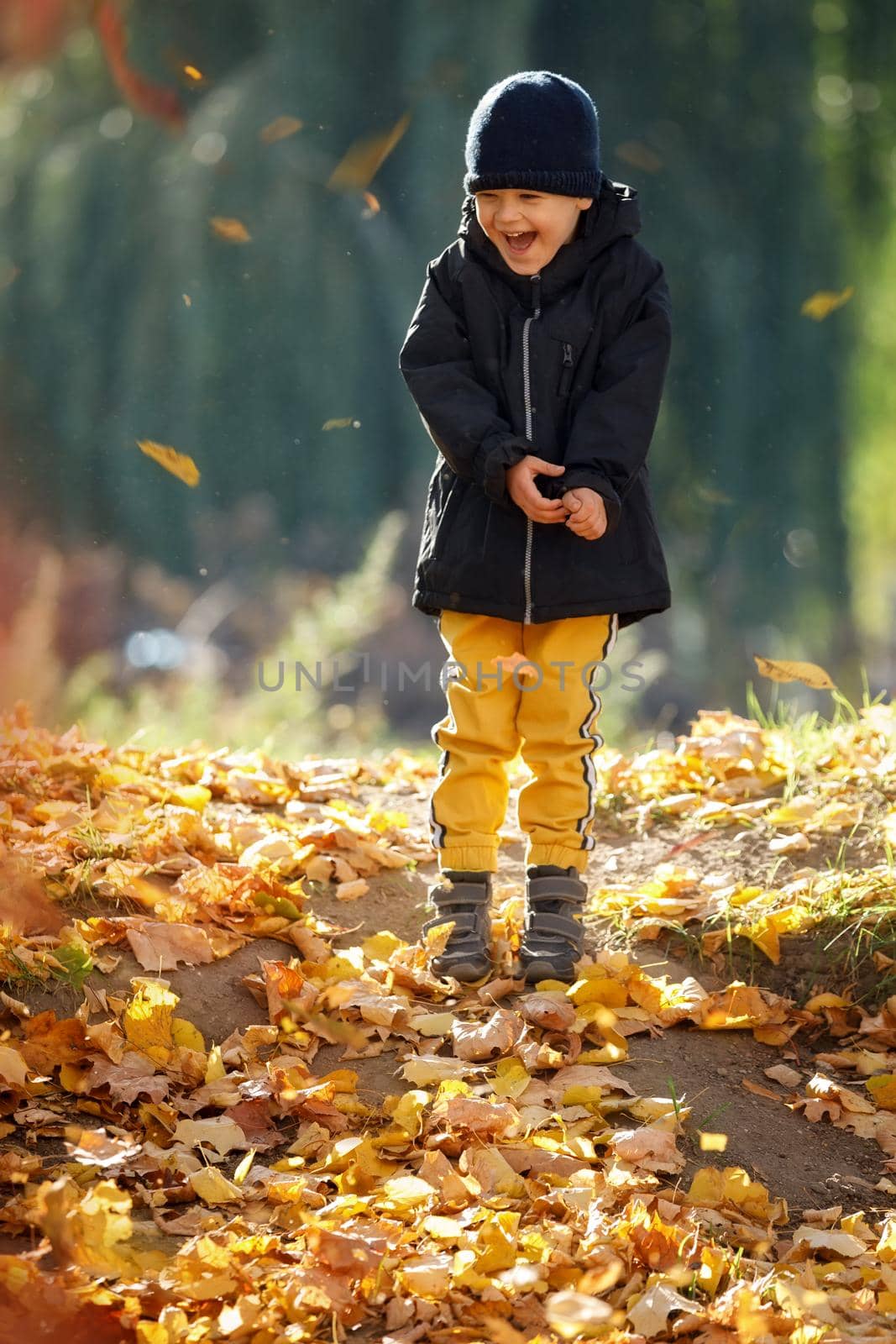 Cheerful boy enjoying amidst falling autumn leaves. The concept of childhood, family and kid.