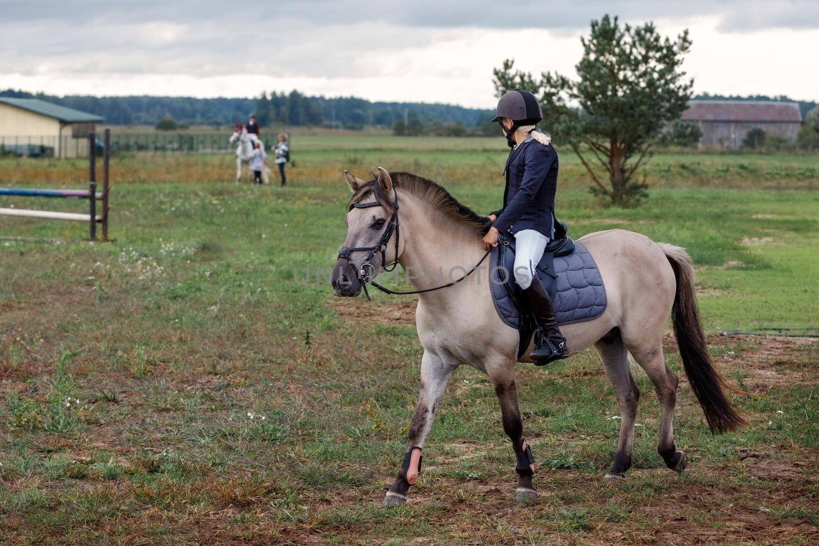 Training process. Young teenage girl riding trotting gray horse on grass arena practicing at equestrian school. Colored outdoors horizontal summertime image with filter. View from backside by Lincikas