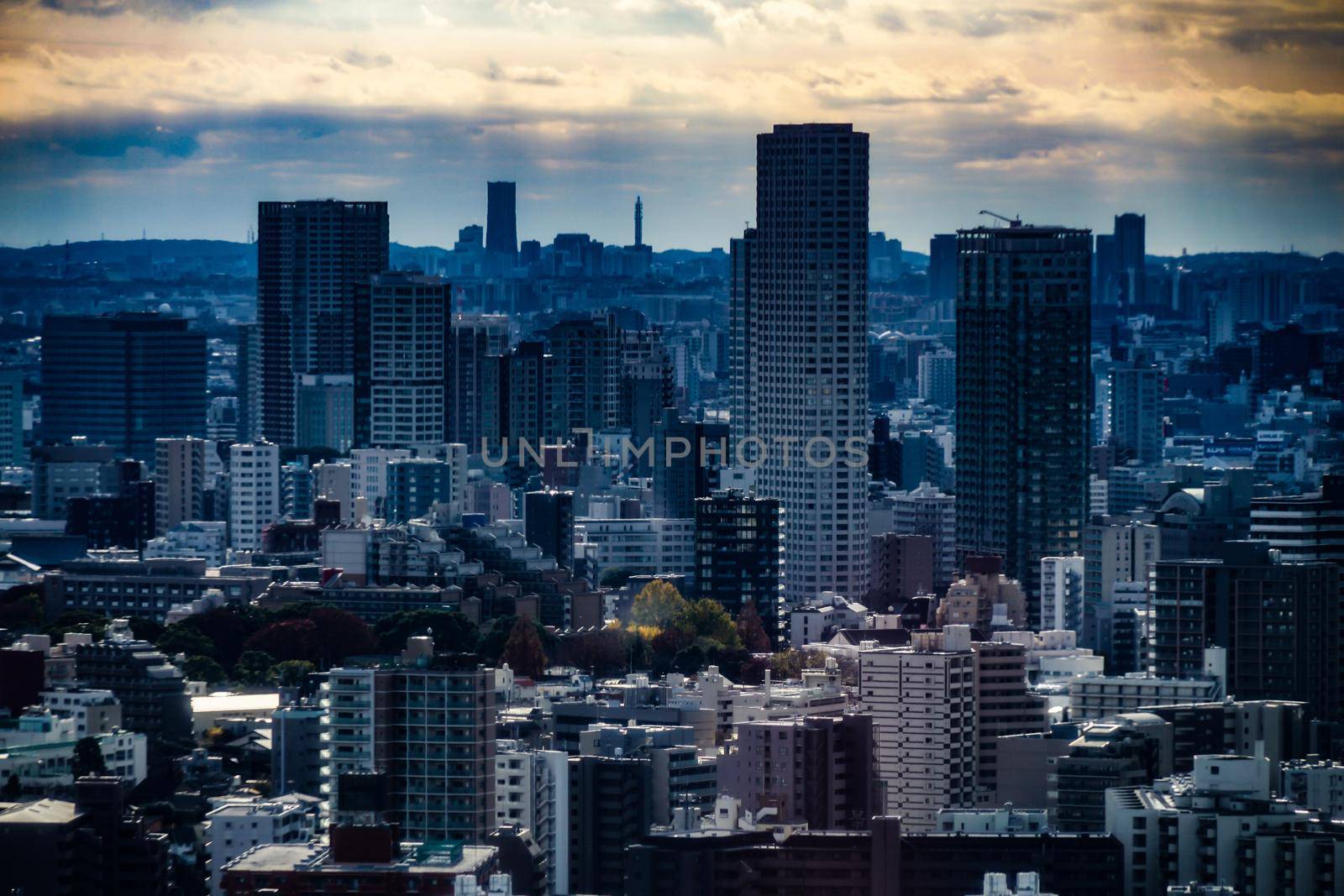 Tokyo Tower View from the city of Tokyo. Shooting Location: Tokyo metropolitan area