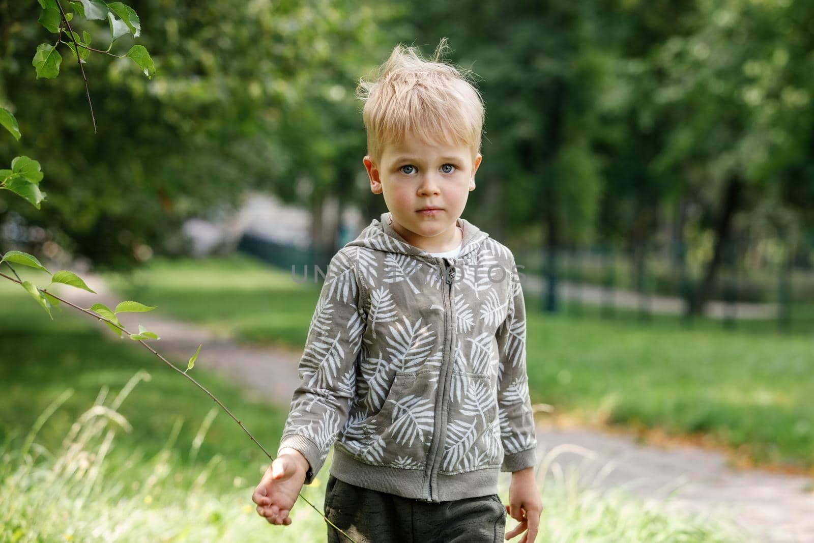 A cute boy is walking on the grass in a green summer park on a sunny afternoon. by Lincikas