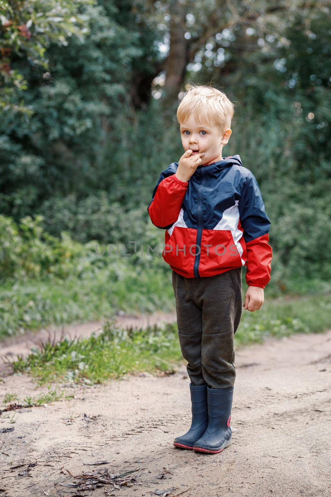 A portrait of a little boy showing a grimace. A child in a colorful jacket, wearing waterproof boots, is standing on the edge of a forest.