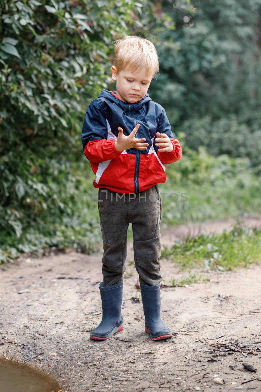 A little boy explores the mud near a puddle during a walk in nature, he looks at his smeared hands by Lincikas