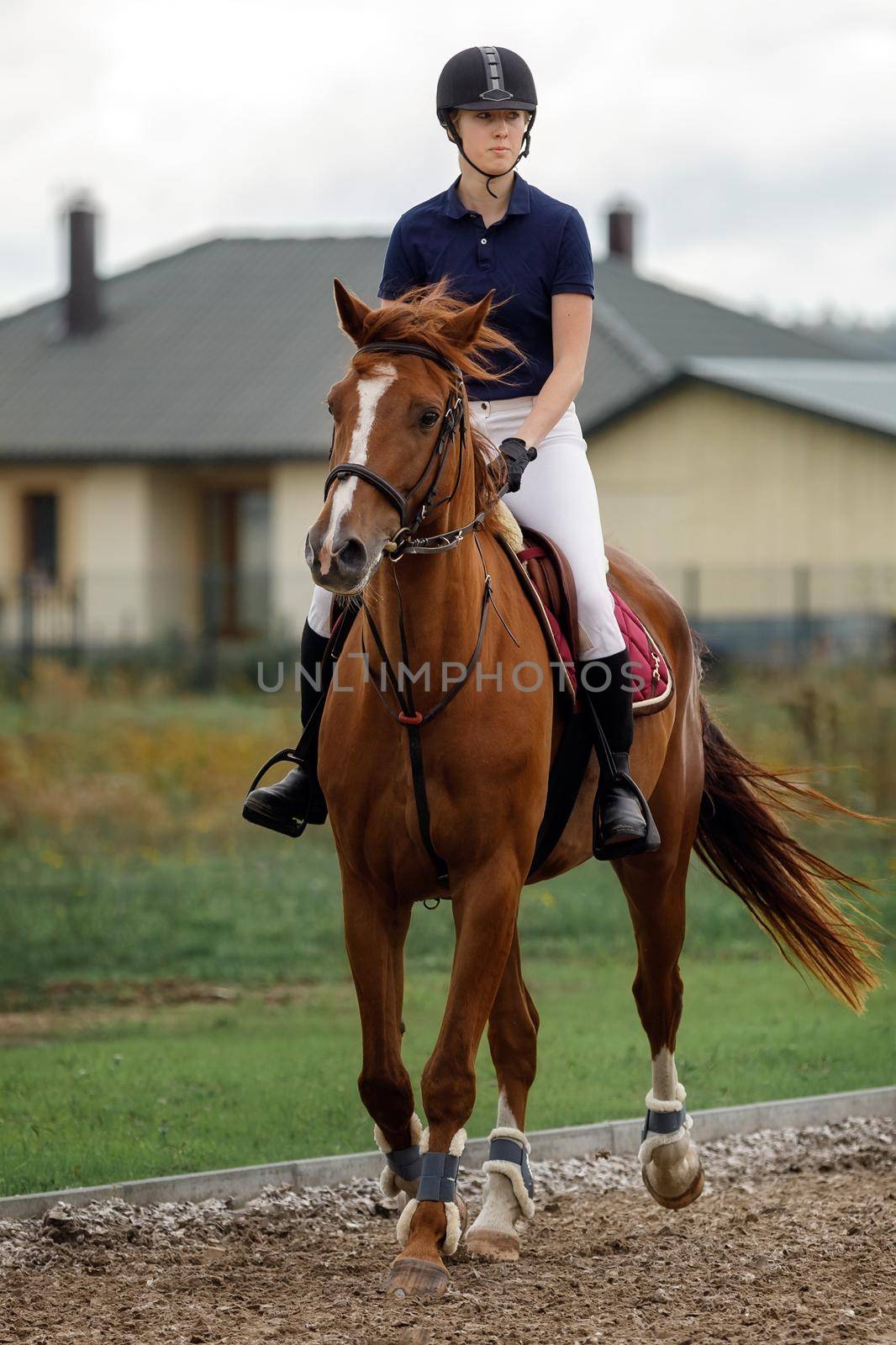 A young and pretty girl is learning to ride a thoroughbred Mare on a summer day at the ranch. Horse riding, training and rehabilitation by Lincikas