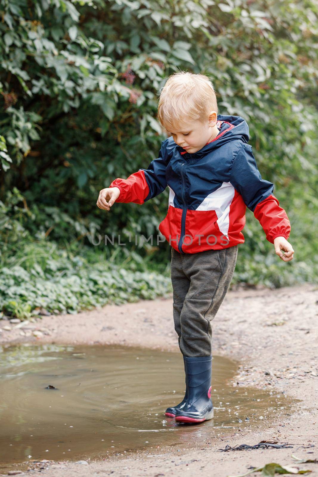 A young blond boy in a blue and red raincoat and rain boots happily go in a puddle of water and mud.