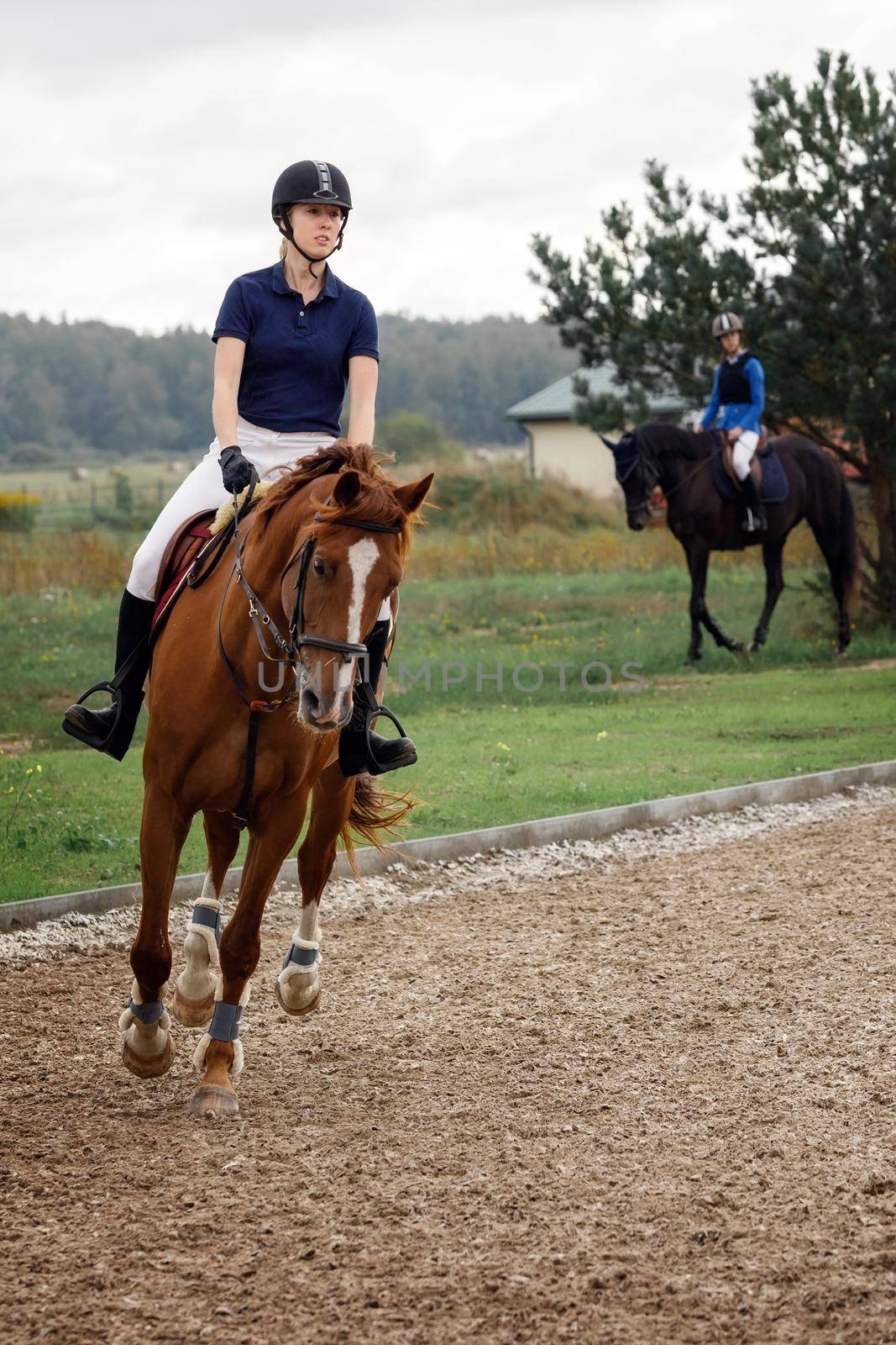 Young pretty girl riding a horse. Equestrian detail. Sport horse and rider.