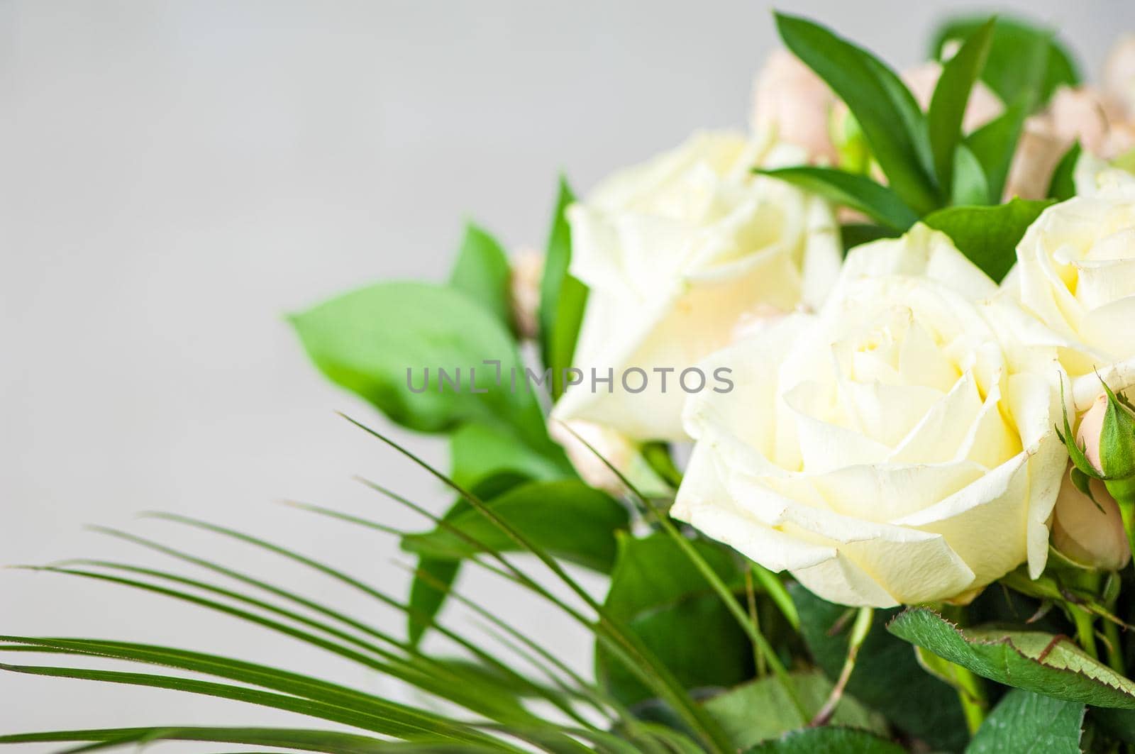 Closeup of beautiful white roses and green leaves in a bouquet by A_Karim