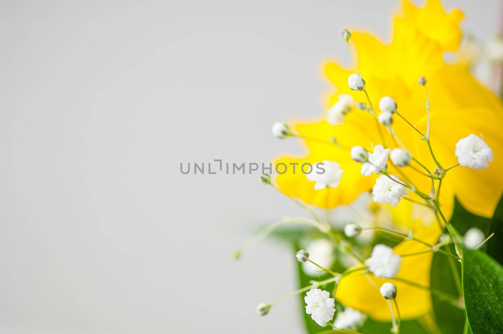 Closeup of beautiful bouquet daffodils, baby's breath and green leaves in a bouquet by A_Karim