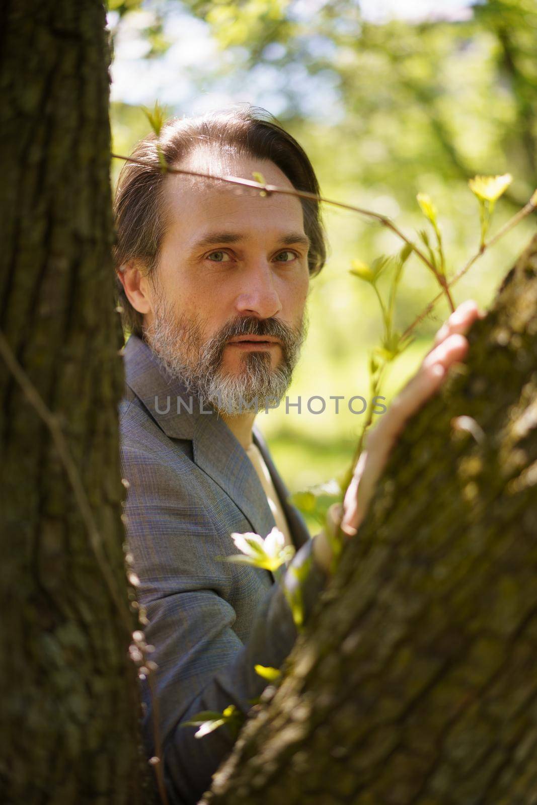 Mature grey beard businessman with half long hair wearing casual grey jacket looking thru tree trunks leaning on one. Life after 40 years concept, problems and depression. Middle age crisis.