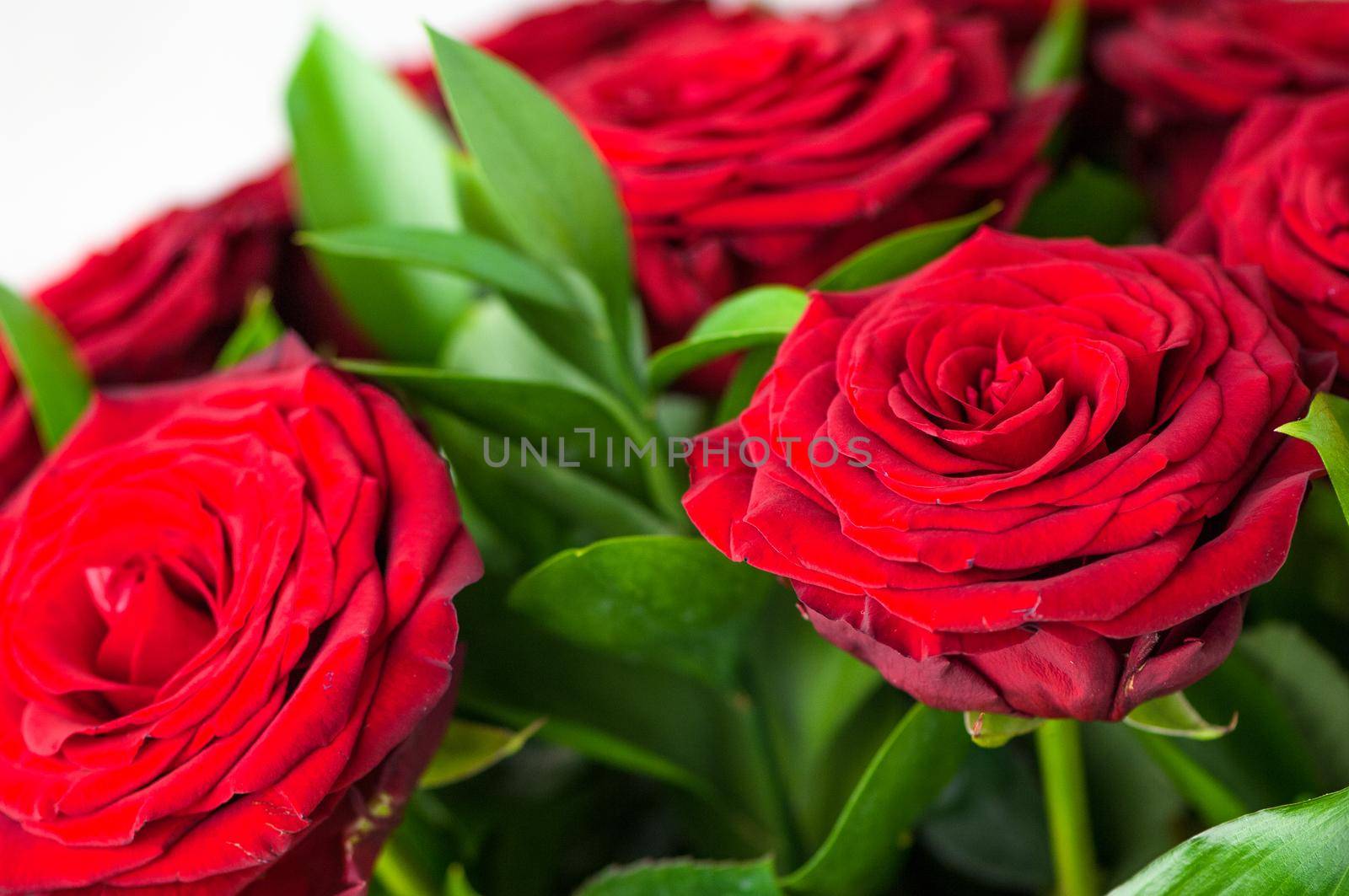 Closeup of beautiful red roses and green leaves in a bouquet by A_Karim