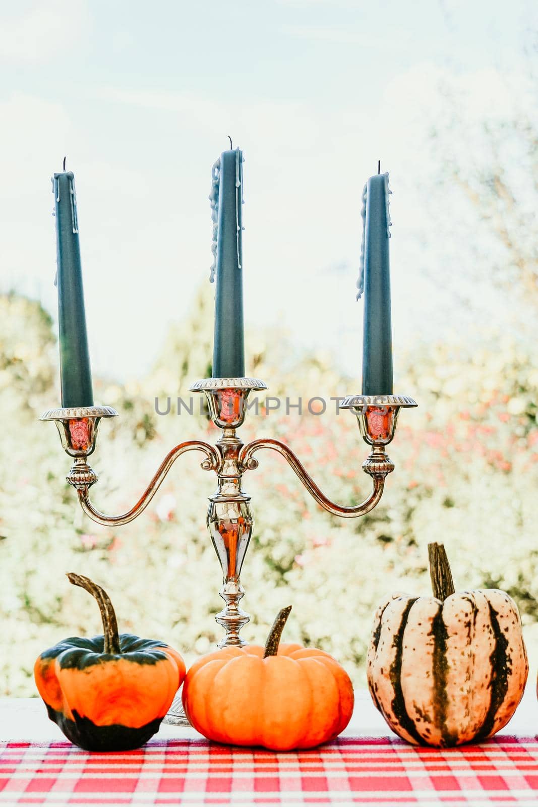 Different kinds of pumpkins on the table with candles in the garden