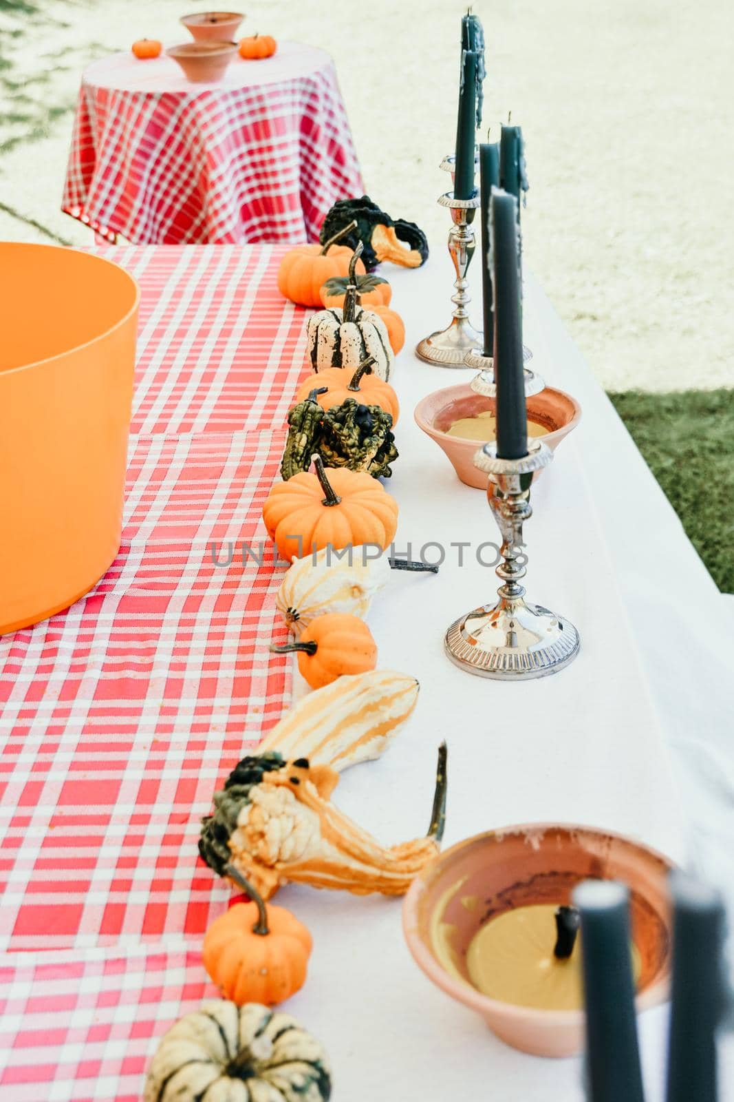 Different kinds of pumpkins on the table with candles in the garden