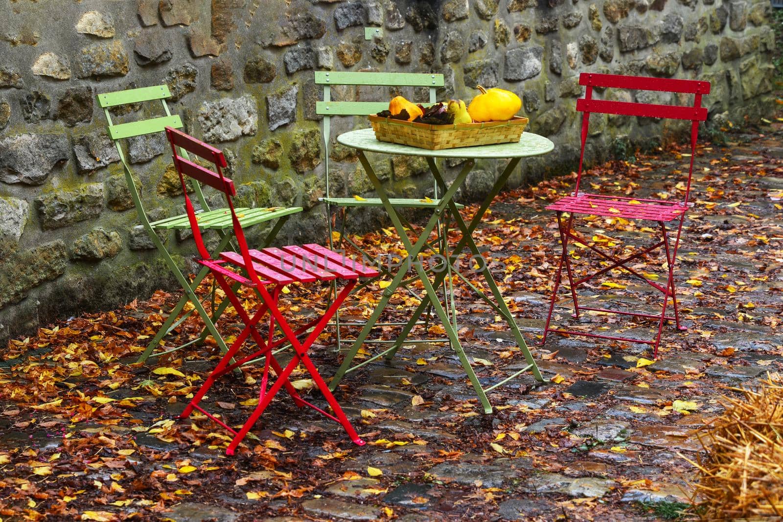 Garden with table and chairs decorated with autumn flowers and pumpkins
