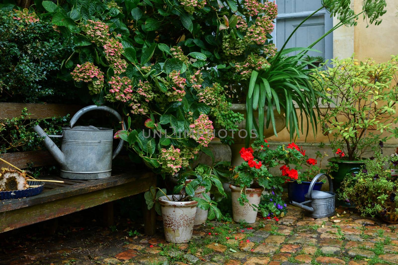 Garden decorated with flowers and plants in the pots