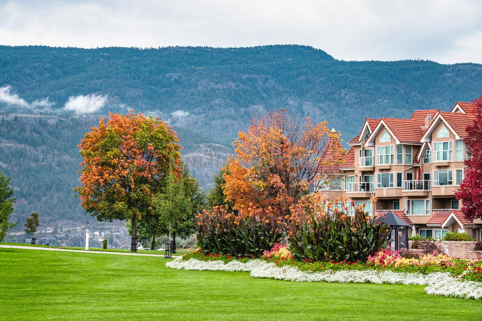 Luxury residential area with green lawn in front