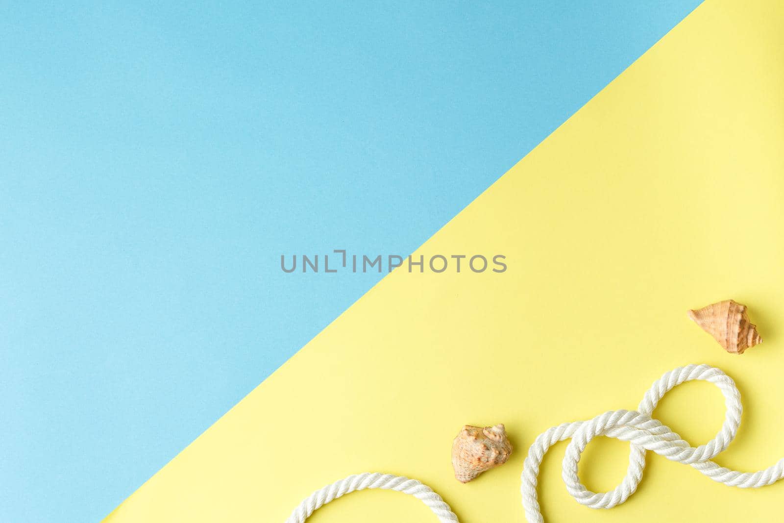 Summer time. Seashells with rope on a colored background with copy space. Sea vacation concept. Top view.