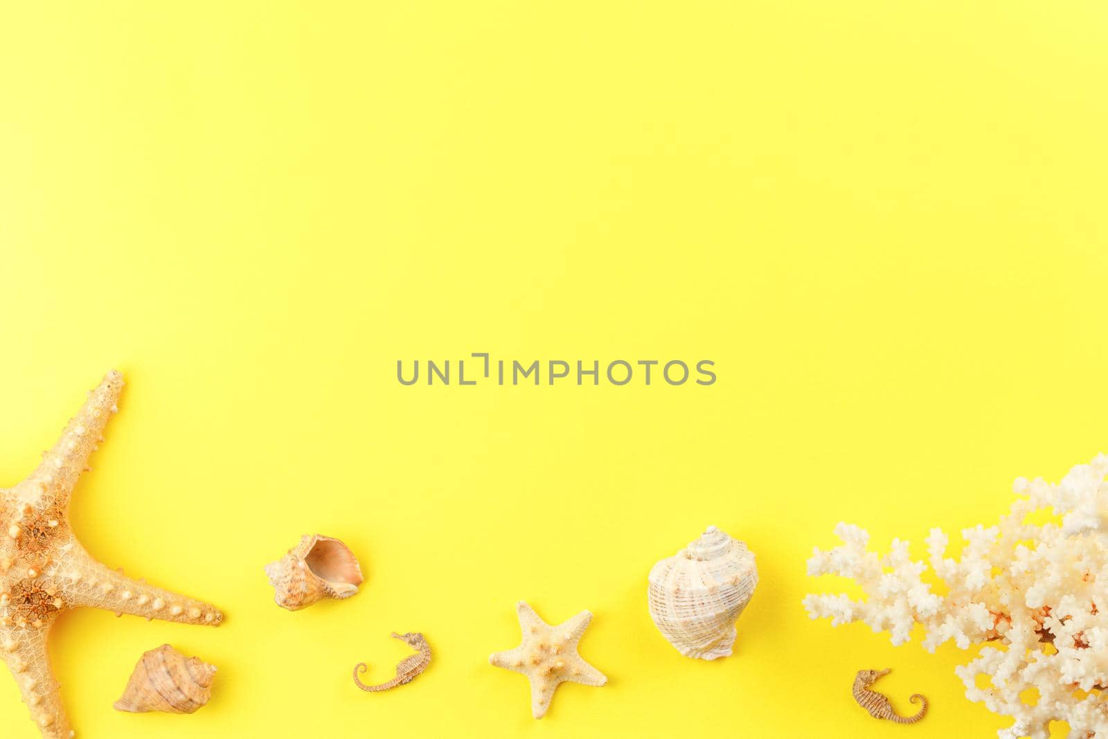 Seashells and starfish on yellow isolated background. Top view. Sandy beach concept. Corals and seahorses. Flat lay.