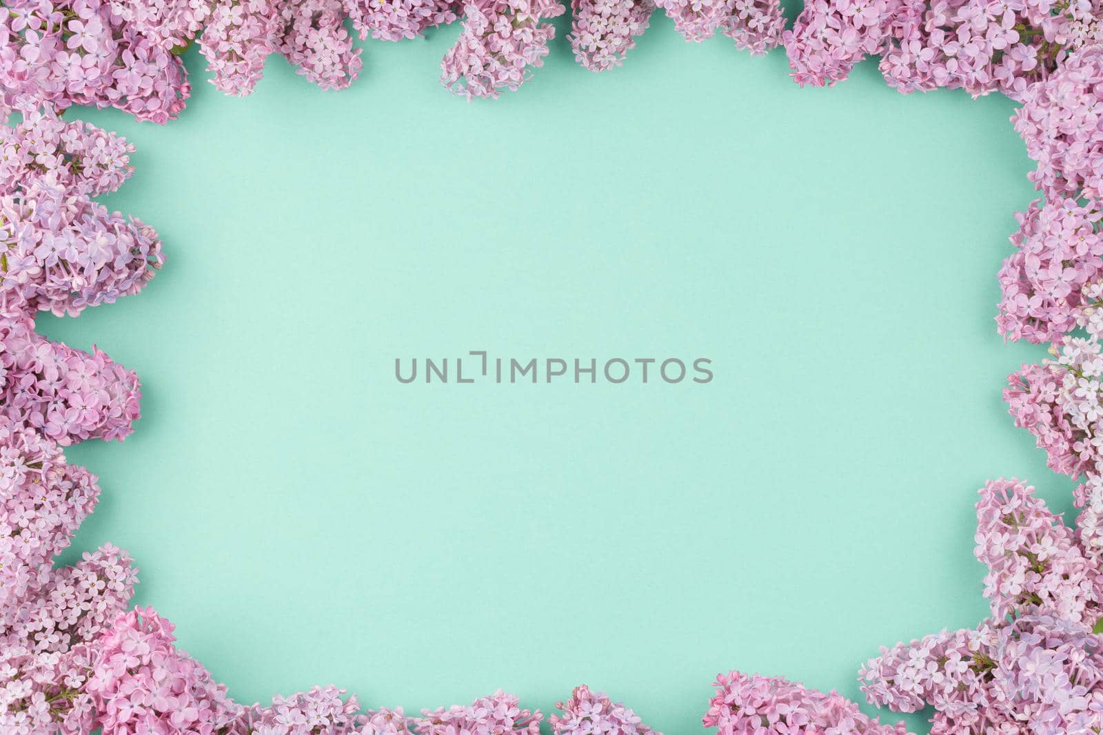 Cyan background with lilac flowers arranged along the edge. Flat lay