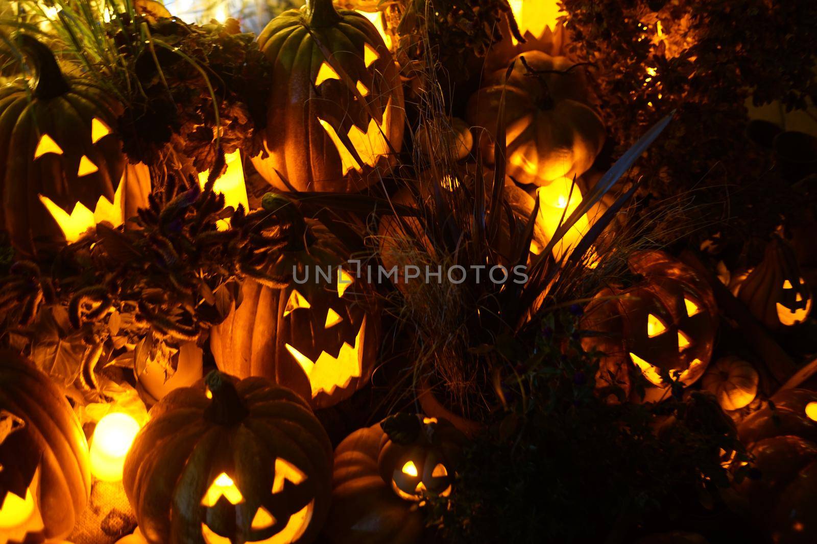 Halloween jack lantern image. Shooting Location: Yokohama-city kanagawa prefecture