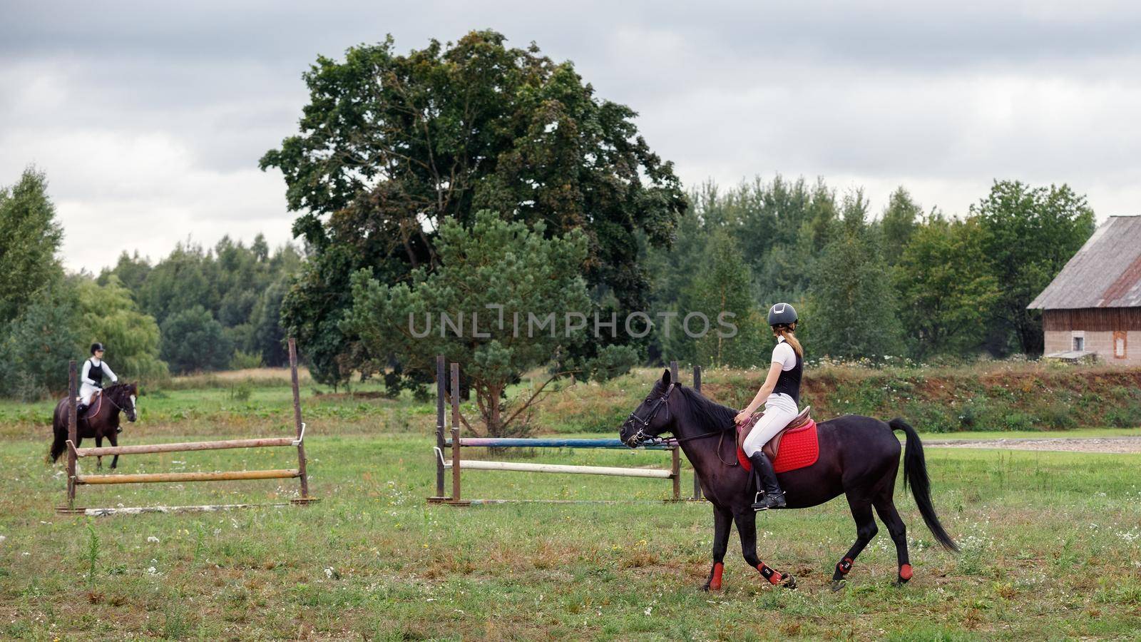 Young girls riding horses bareback in field. Horse riding, training and rehabilitation. by Lincikas