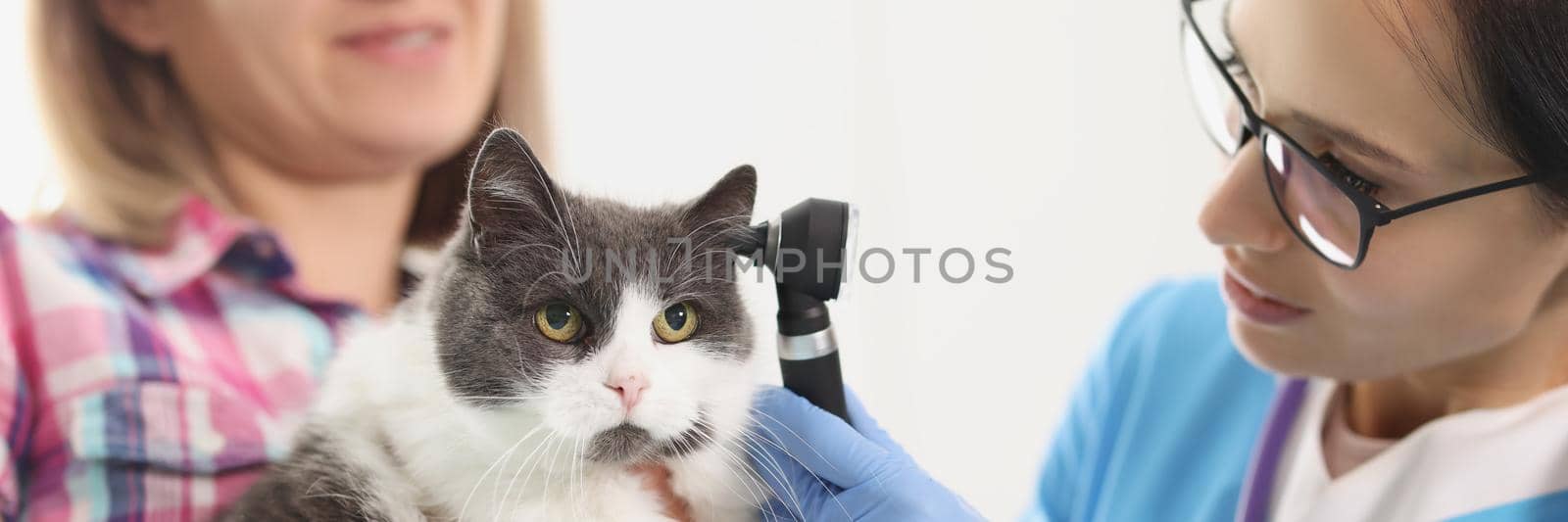 Owner woman holding her cat pet on hands and veterinarian check ear with special tool by kuprevich