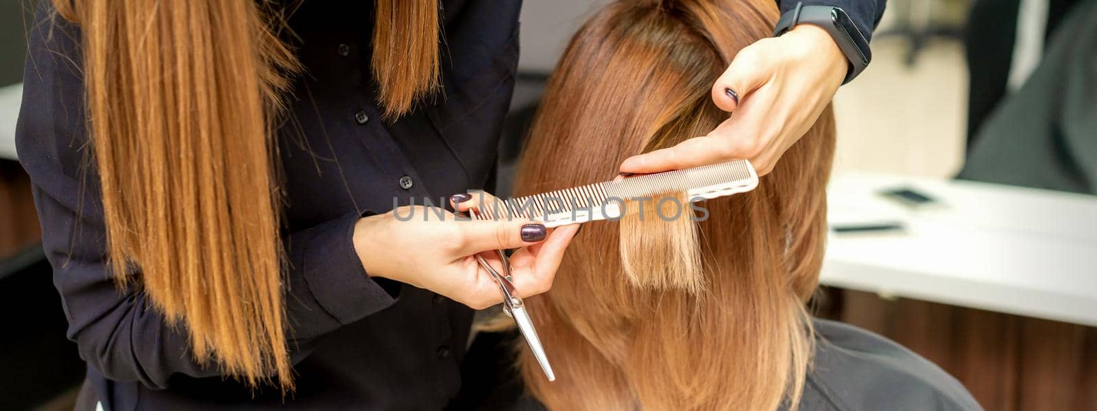Back view of hairdresser cuts red or brown hair to young woman in beauty salon. Haircut in hair salon. Soft focus
