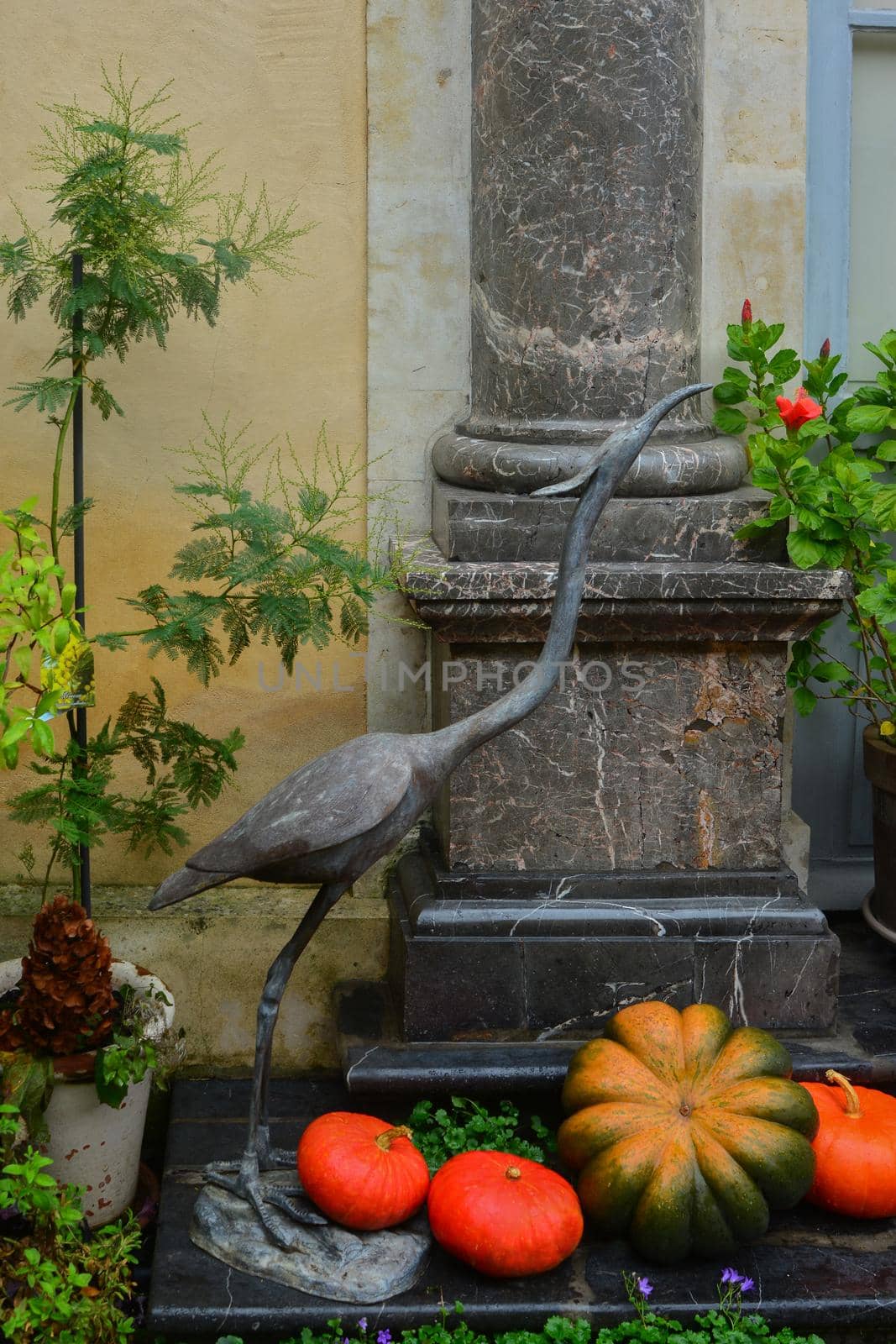 Garden decorated with autumn flowers, pumpkins and plants.