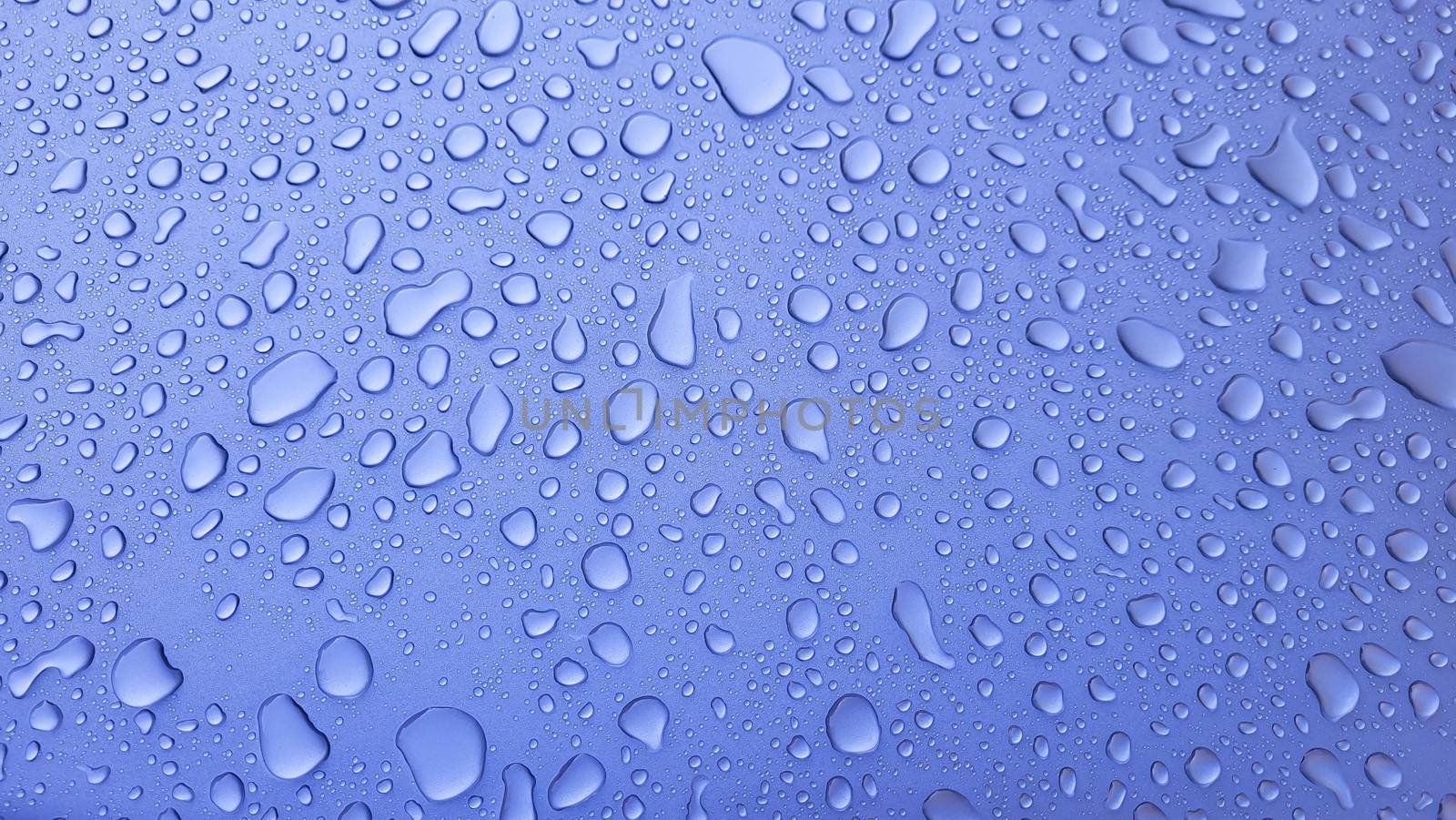 A drop of water on the hood of the car. Water balls after rain or car wash on the surface of purple paint by lapushka62
