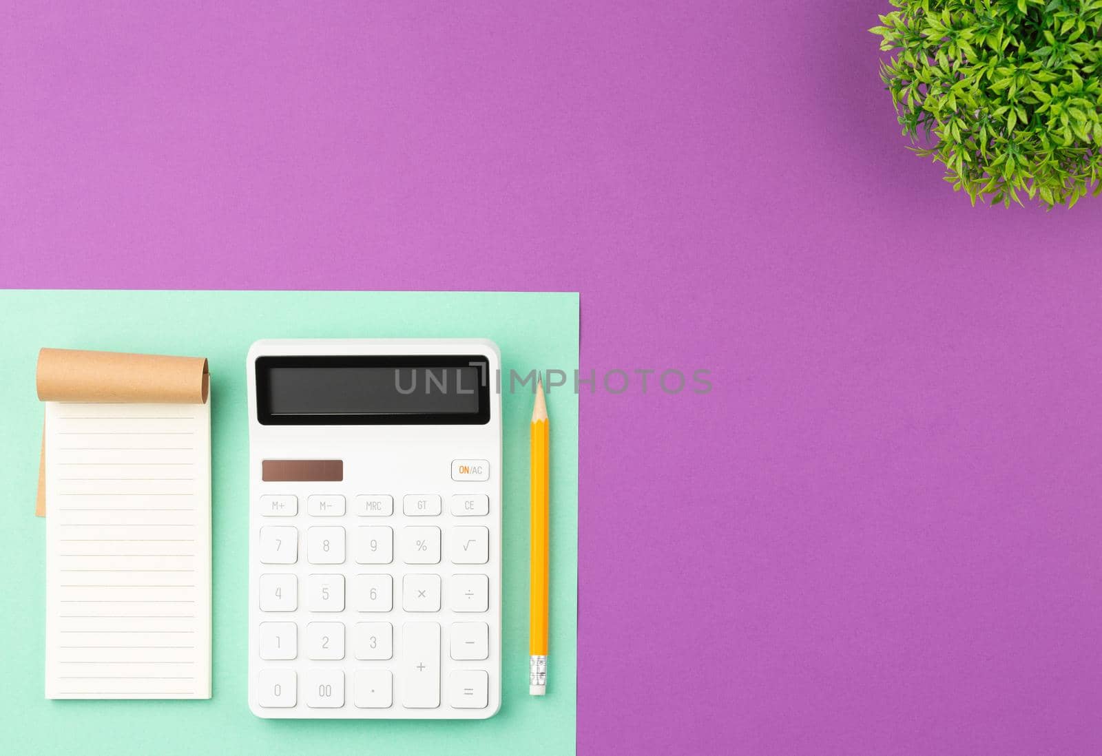 Open notebook with pencil, calculator and green plant in the pot with green leaves on two color background. Top view, flat lay.