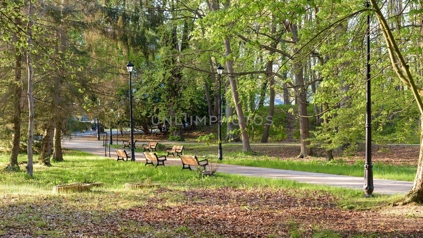 View of the alley in Zdrojowy park in Swinoujscie in Poland