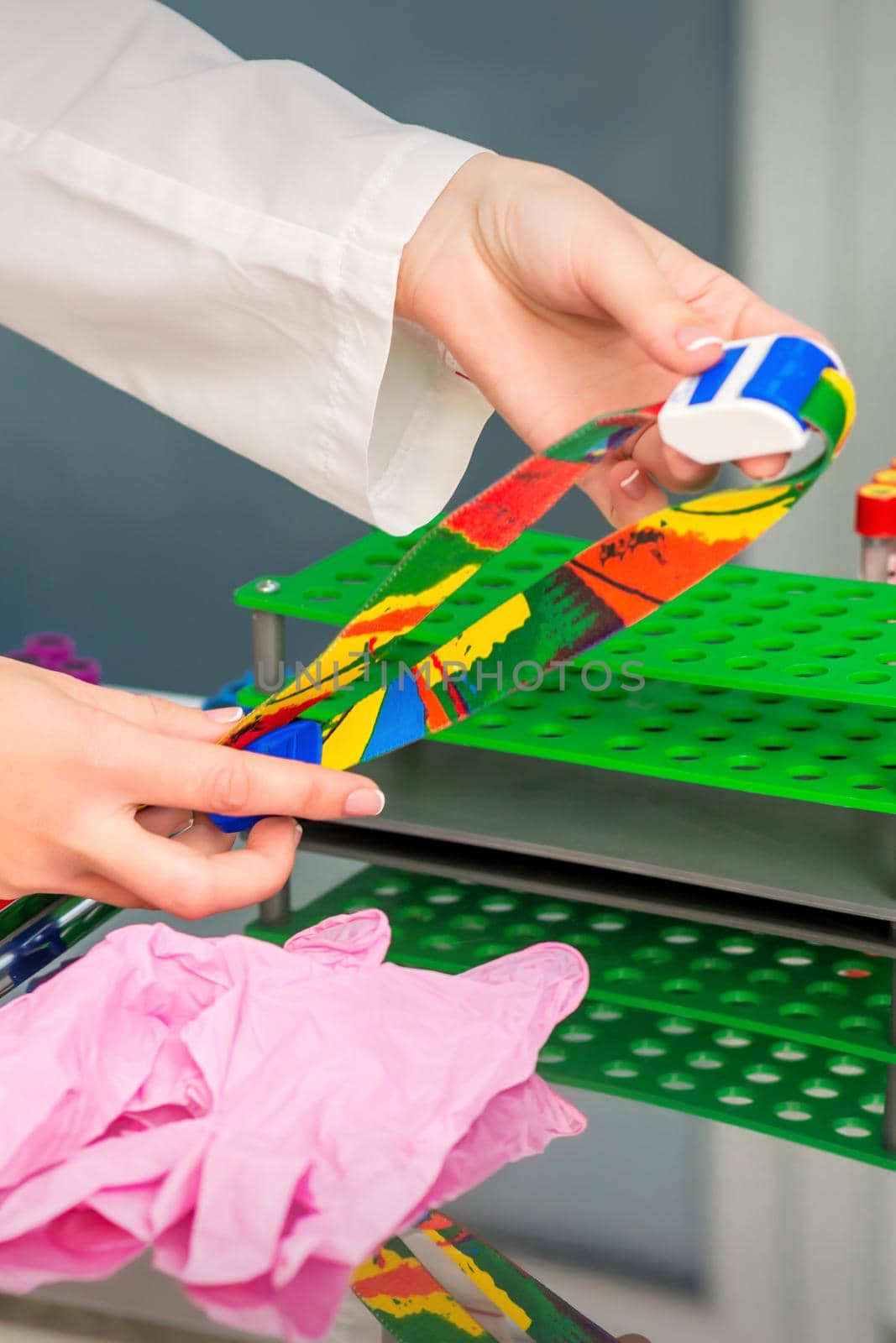Hands of nurse prepare medical tourniquet for blood sampling in medical office