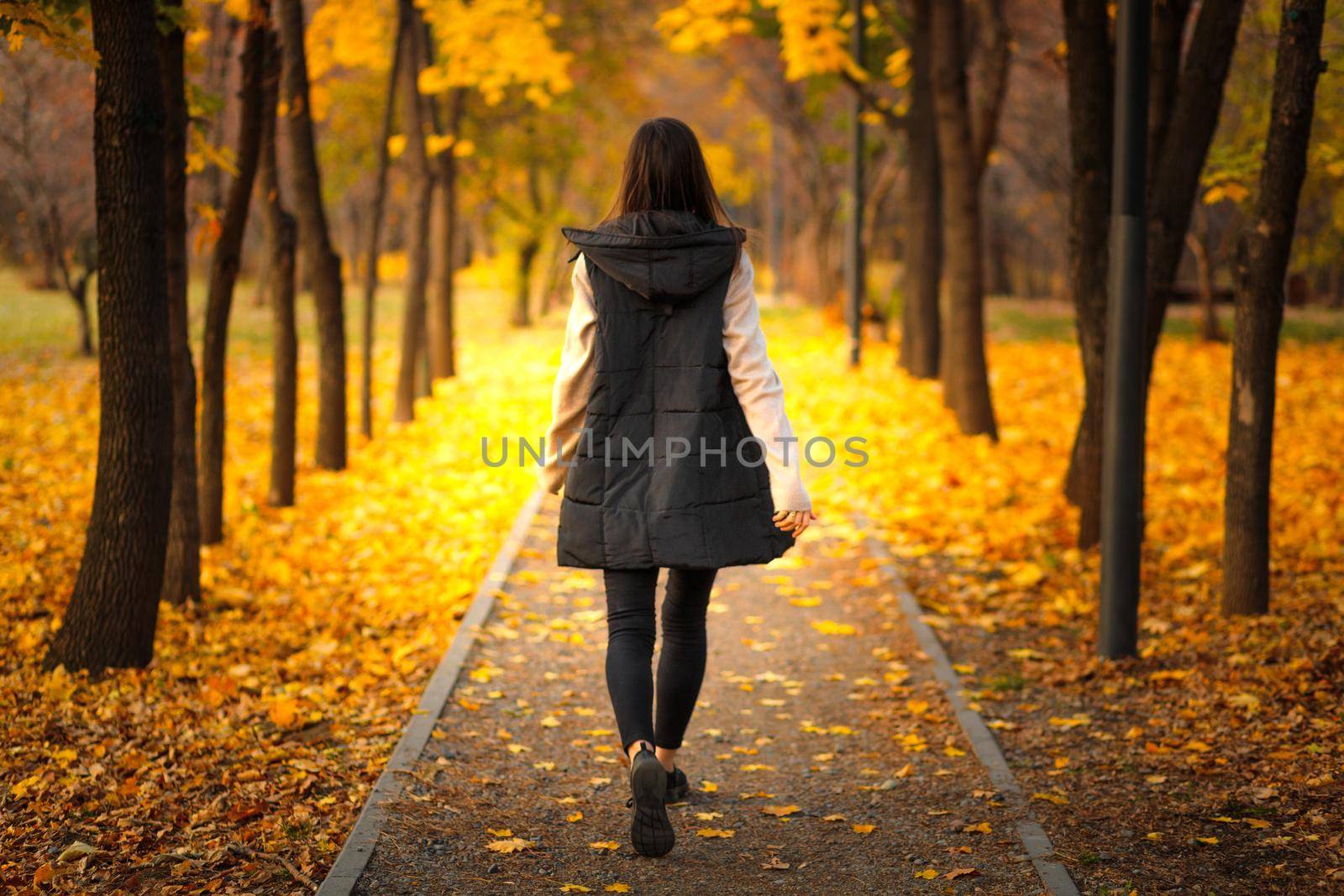 Brunette woman goes into the distance along the autumn alley of city park, his walking on fallen leaves.
