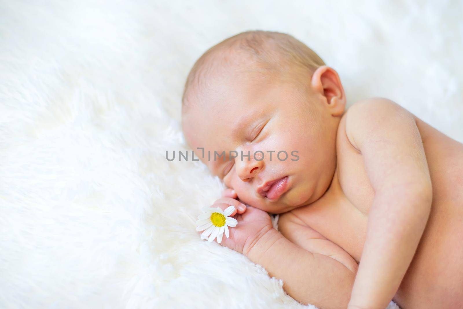 Newborn baby sleeps with chamomile. Selective focus. people.