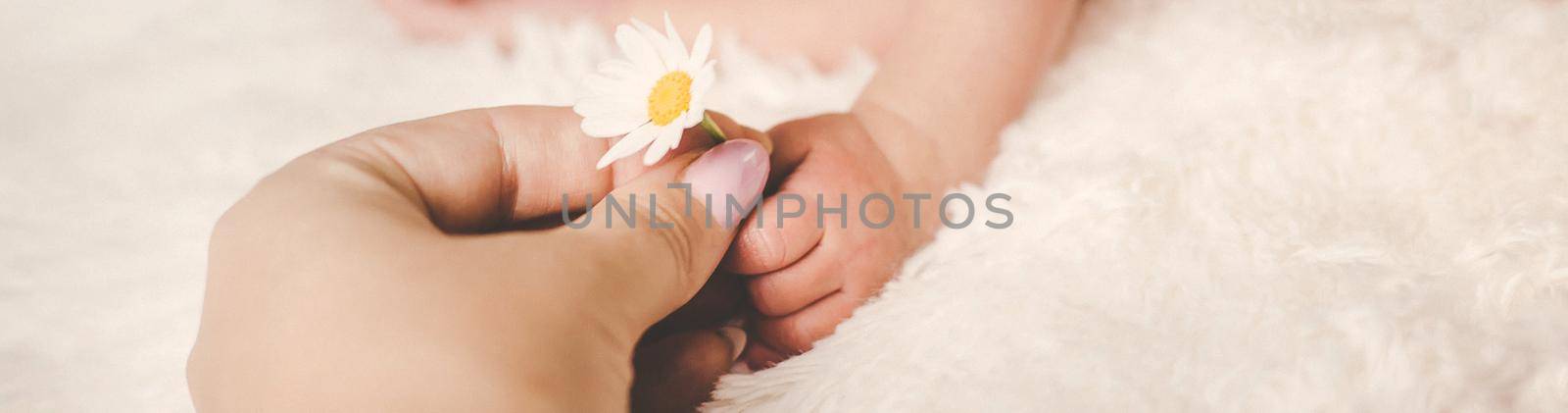 Newborn baby sleeps with chamomile. Selective focus. by yanadjana