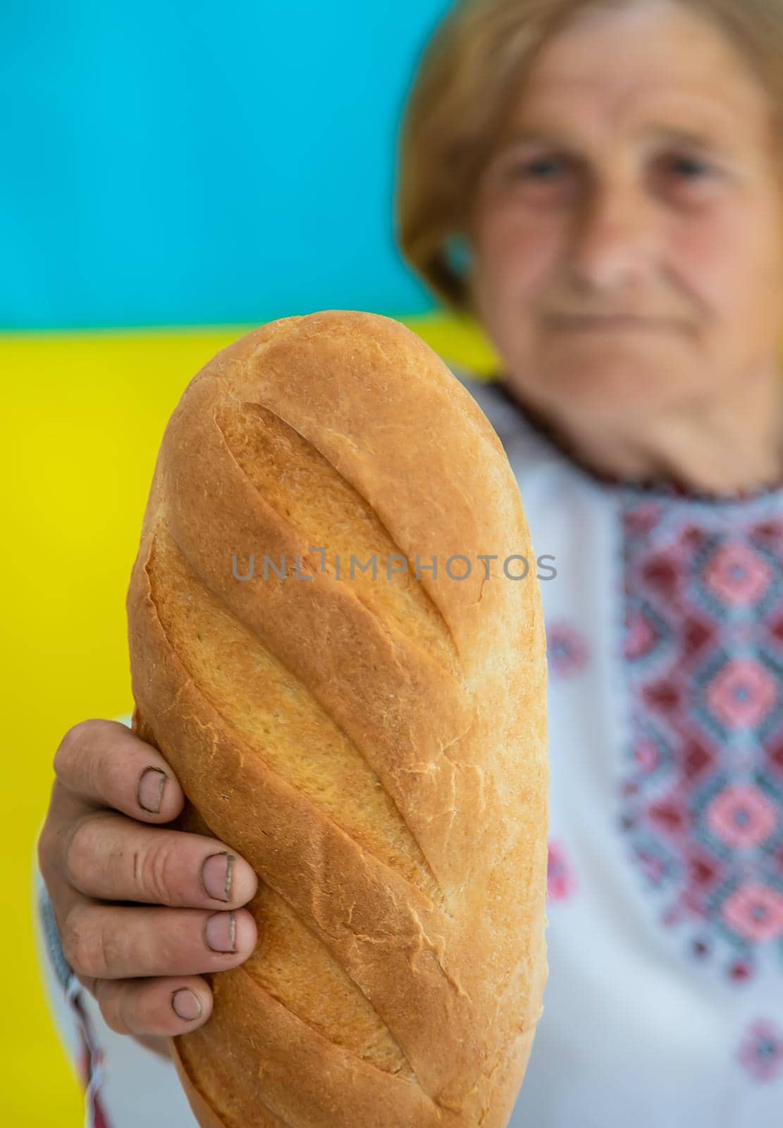 Grandmother is a Ukrainian patriot in an embroidered shirt. selective focus. by yanadjana