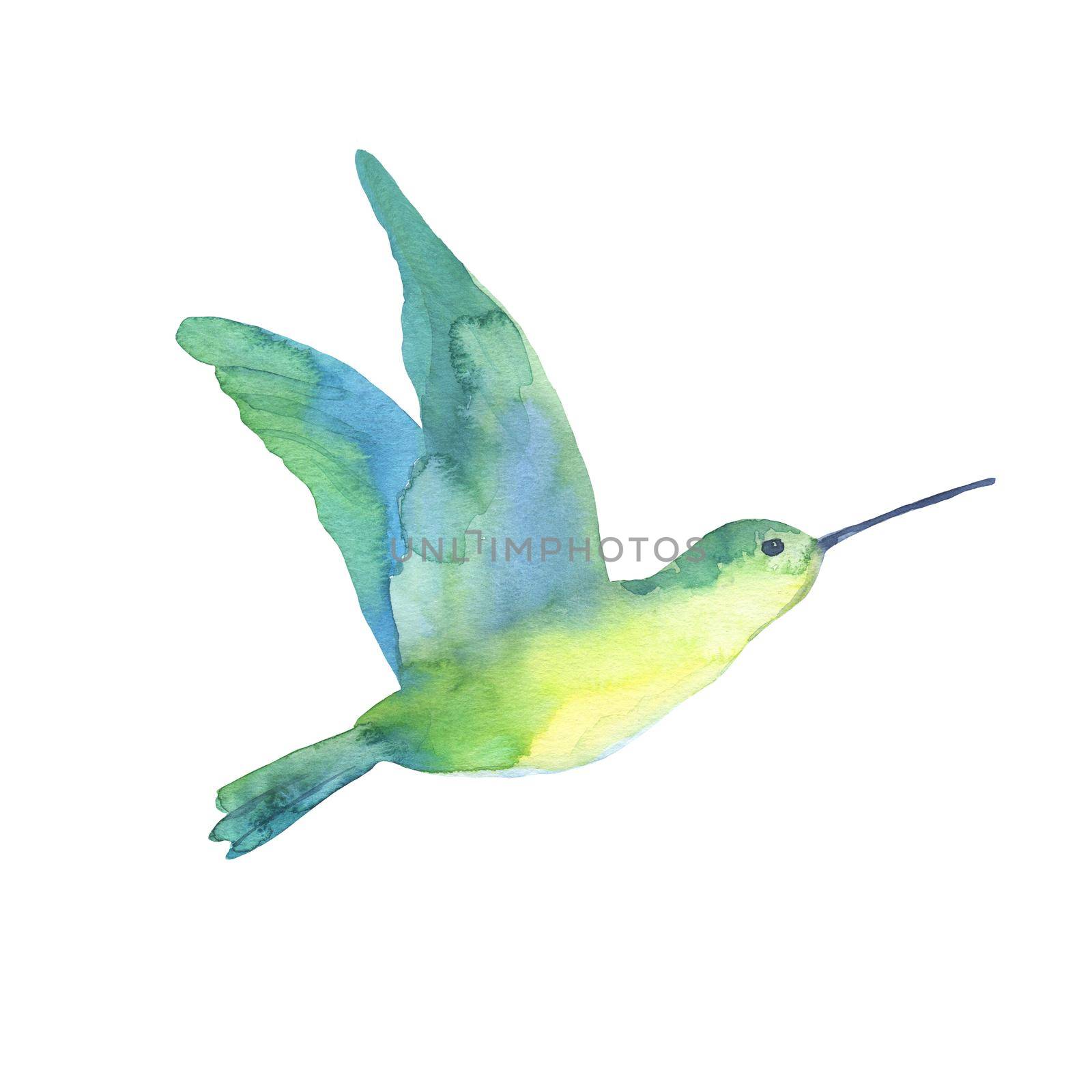 Watercolor tropical green hummingbird isolated on a white background. A sketch. by ElenaPlatova