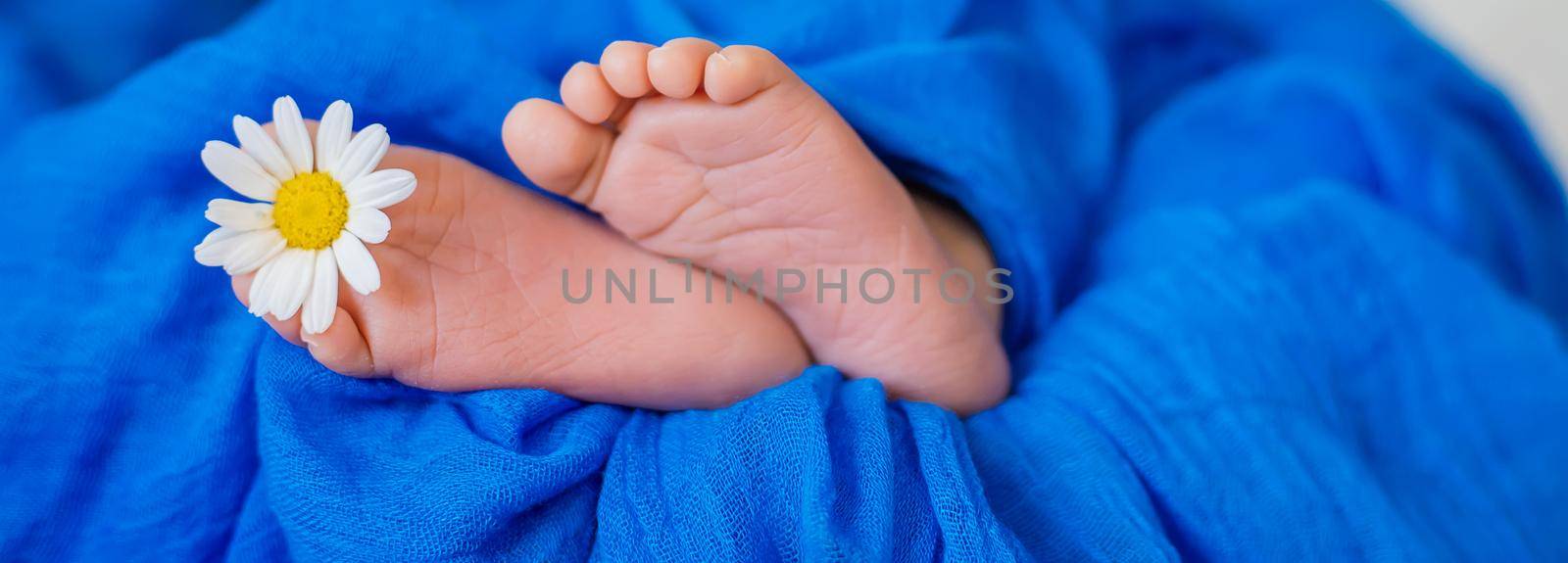 Newborn baby sleeping on a blue background. Selective focus. by yanadjana