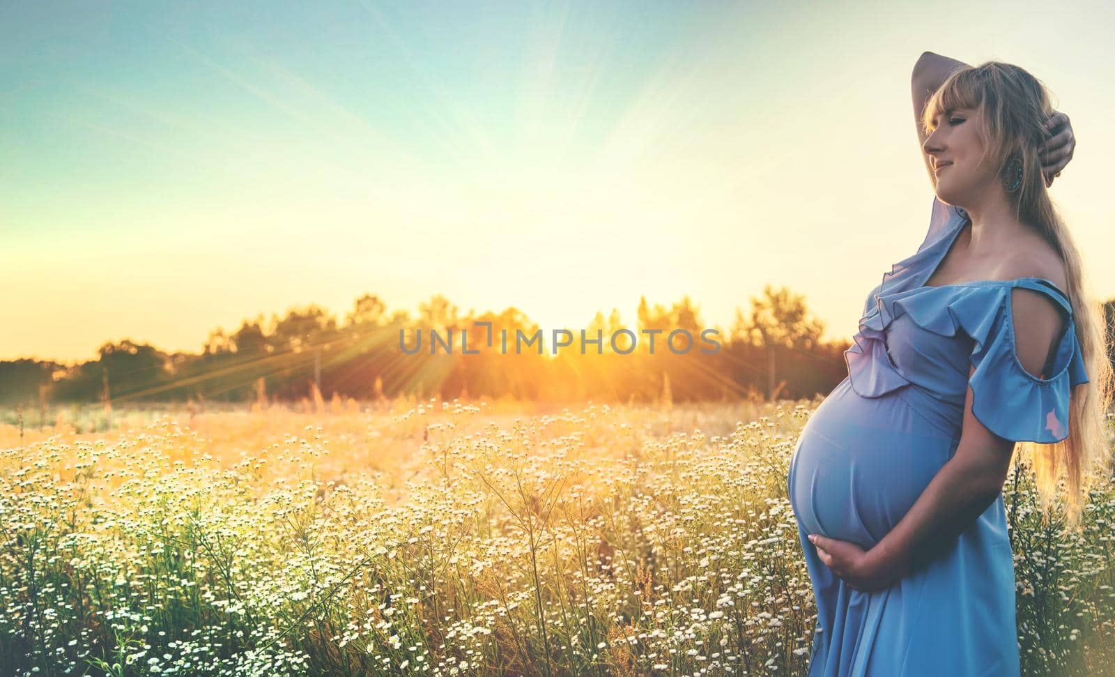 pregnant woman with camomiles in hands. Selective focus. nature.