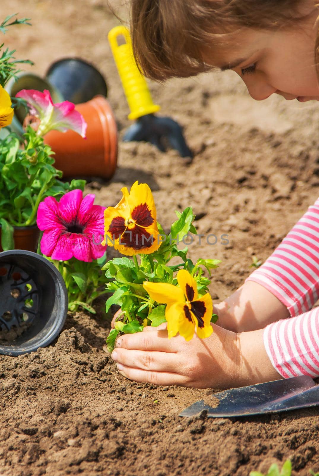 A child plants a flower garden. Selective focus.