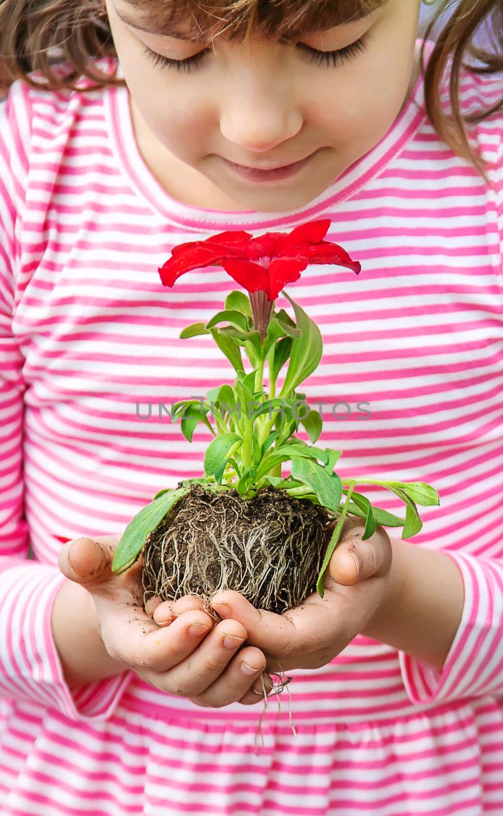 A child plants a flower garden. Selective focus. nature.