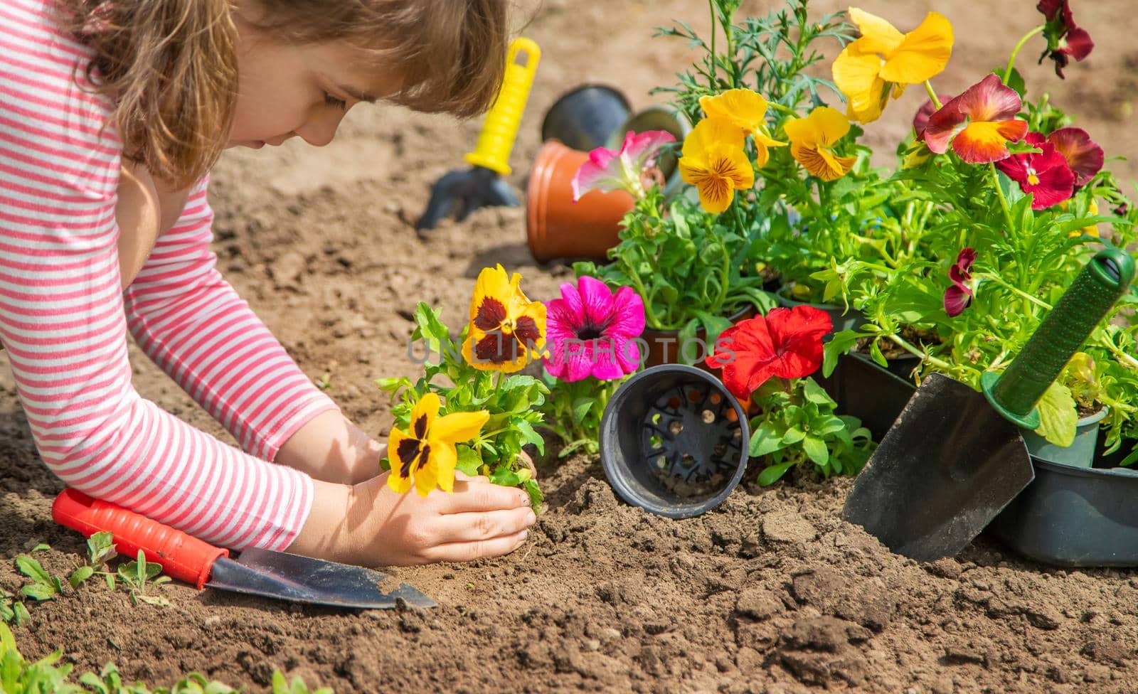 A child plants a flower garden. Selective focus.