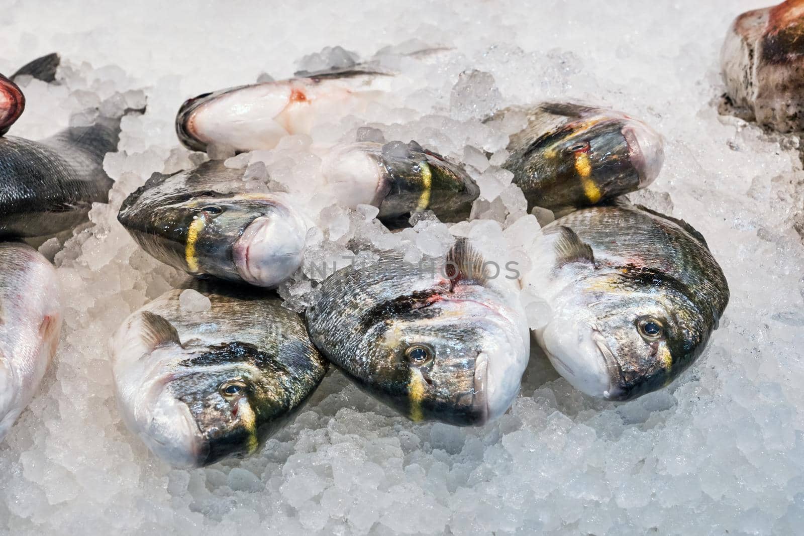 Fresh fish on ice for sale at a market in Barcelona, Spain