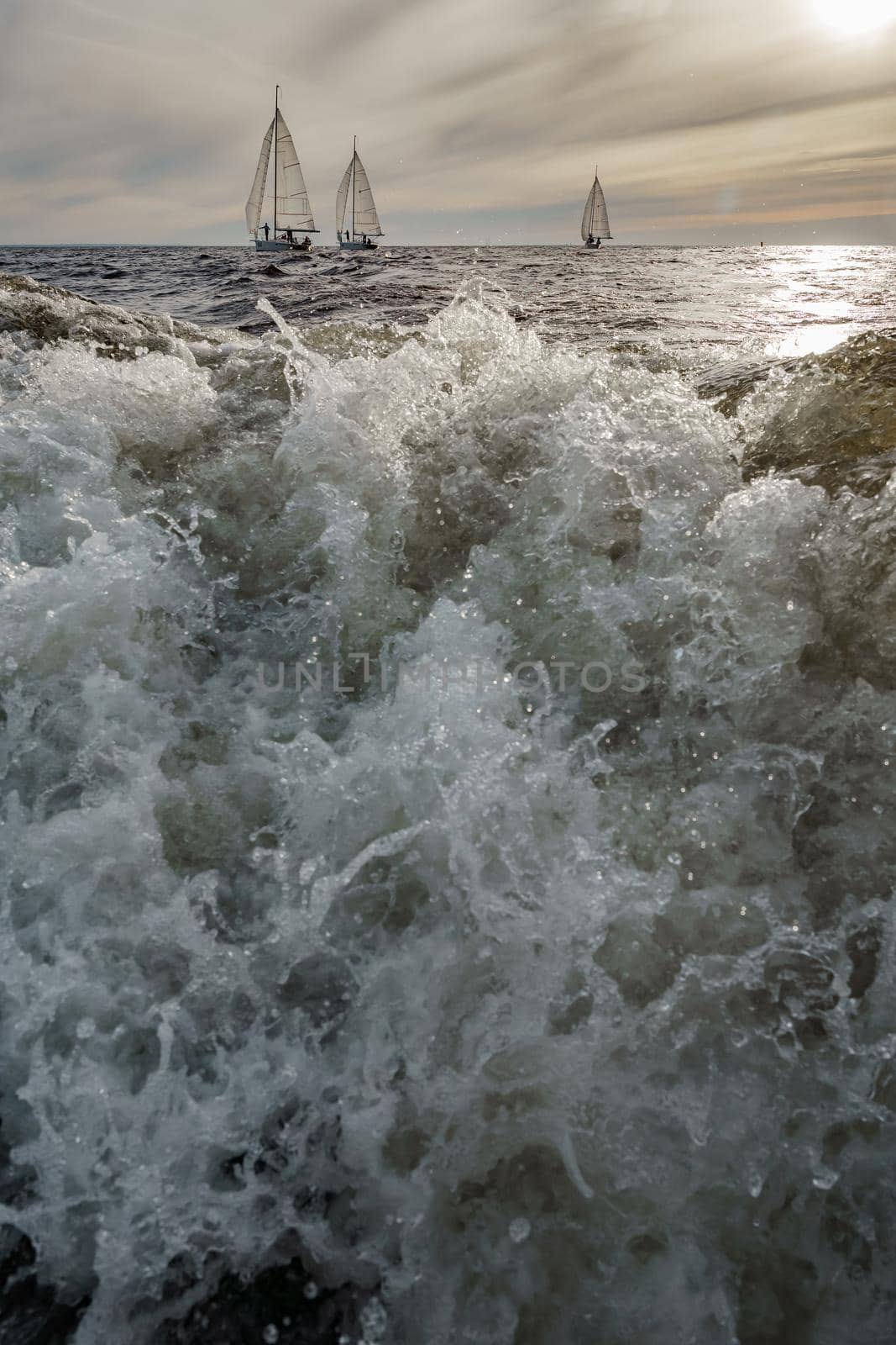 Splashes water of motor boat in the foreground, sailing yachts at sunset in background, sail regatta, big waves. High quality photo