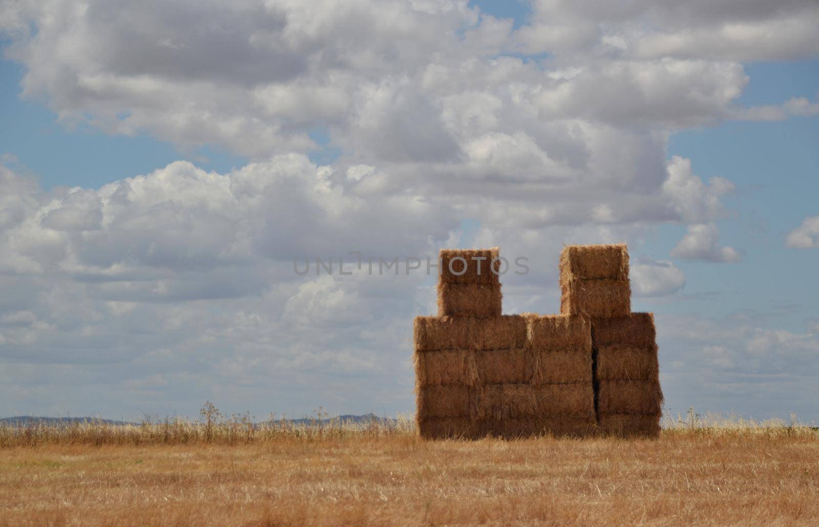 Straw bales piled up in the field waiting to be transported