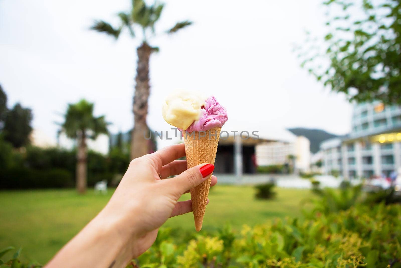 bright ice cream in the hands of a beautiful palm tree by sfinks