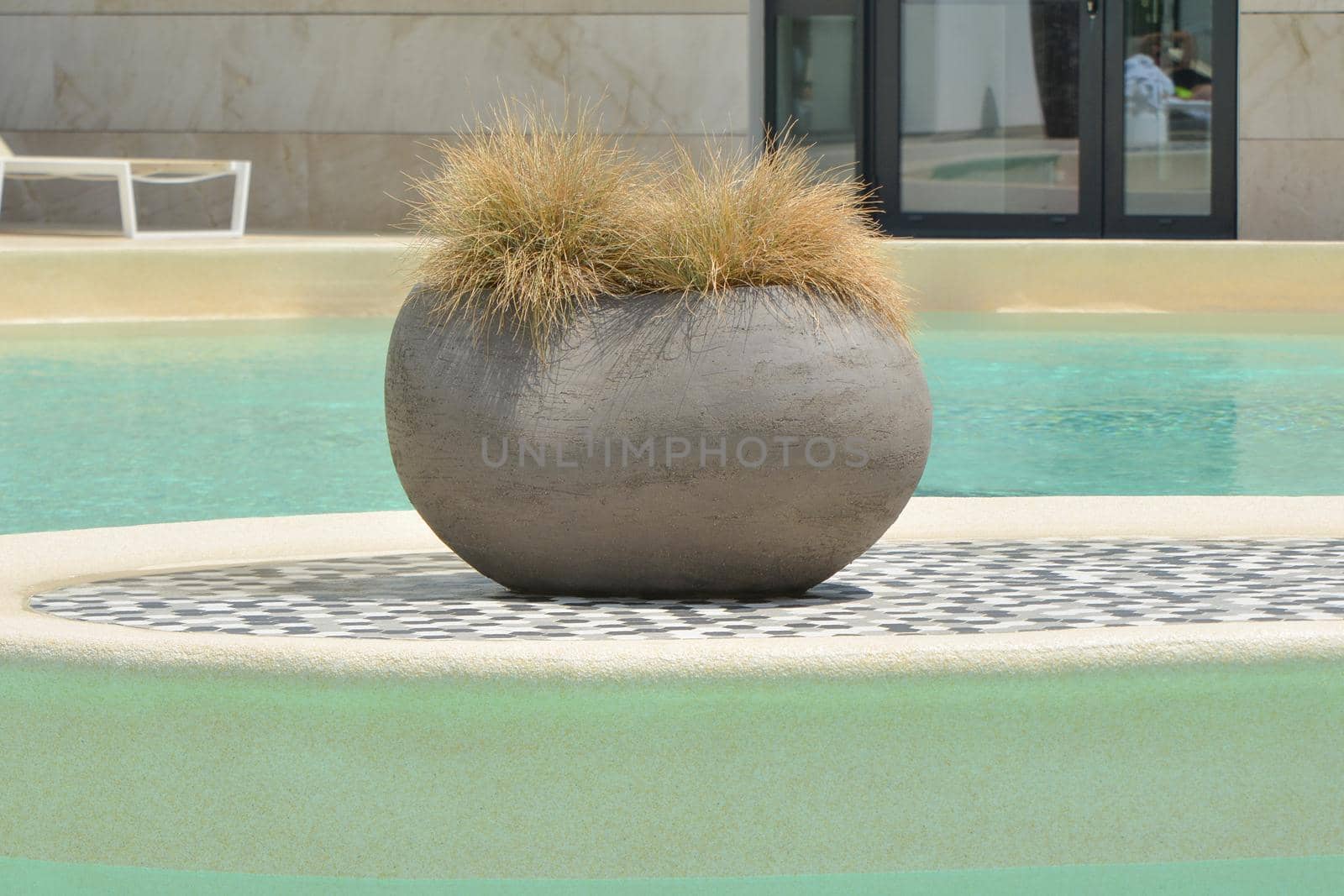 Plant in a clay pot in a modern swimming pool